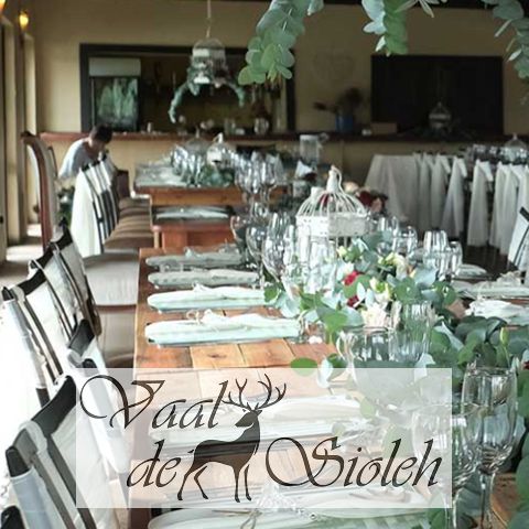 vaaldesioleh vaaldesioleh